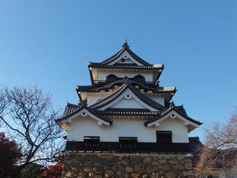 castle-japan-hikone-buildings-221408.jpg