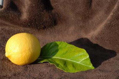 lemon-yellow-citrus-fruit-1456210.jpg