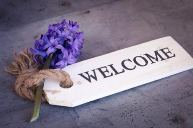hyacinth-flower-blue-blue-flower-1398833.jpg
