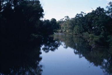 Endangered mussel habitat.jpg