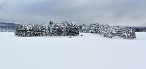 mountain-snow-winter-landscape-1711699.jpg