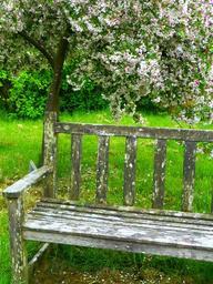 bank-garden-bench-sit-seat-rest-123580.jpg