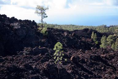 lava-lava-rock-lava-fields-boulders-571369.jpg