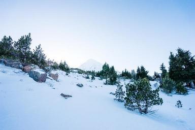 mountains-winter-snow-nature-595086.jpg