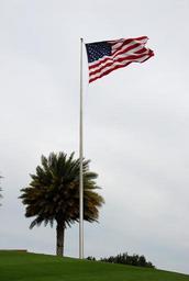 palm-tree-american-flag-flag-palm-860484.jpg