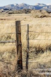 fence-post-barbed-wire-gate-ranch-1110009.jpg