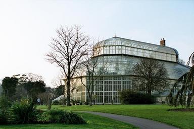 greenhouse-botanical-gardens-1557500.jpg