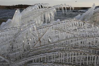ice-winter-ijsselmeer-867022.jpg