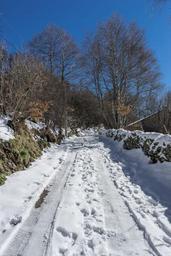 path-snow-nevado-winter-landscape-1212999.jpg