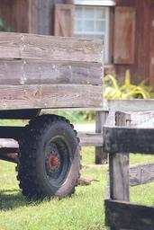 farm-rural-agriculture-countryside-1577345.jpg
