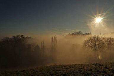 trees-sunbeam-light-rays-1092105.jpg