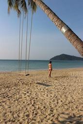 palm-tree-swing-thailand-beach-273779.jpg