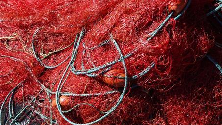 fishing-nets-online-fishing-786156.jpg