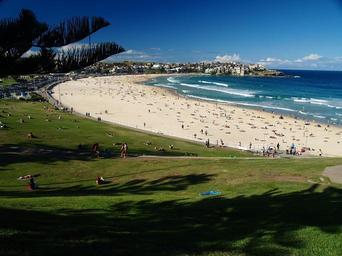 landscape-australia-beach-grass-77723.jpg