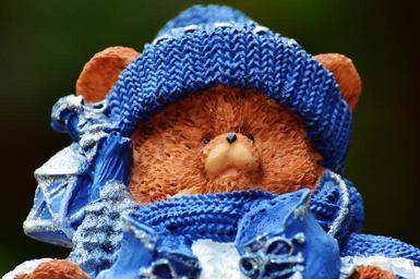 winter-bears-bear-teddy-fig-993247.jpg
