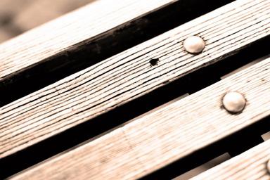 bank-wood-sit-structure-rest-619863.jpg