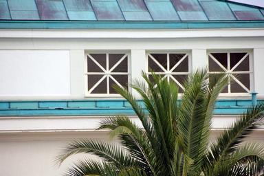 palm-tree-building-window-roof-185100.jpg