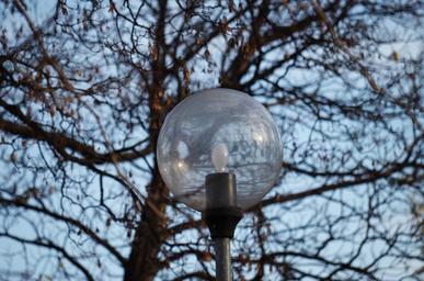 light-lamp-tree-park-1093818.jpg