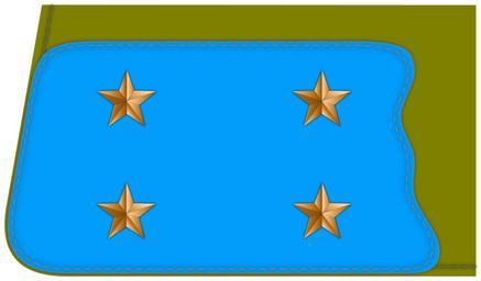 04 УНР 30-03-1920 Чoтoвий.svg
