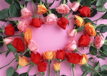 Mixed-color-roses.jpg