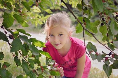 mulberry-little-girl-summer-fruits-1477306.jpg