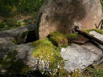 grinding-stone-stone-moss-old-478566.jpg