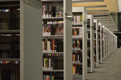 cornell-university-library-shelves-82344.jpg