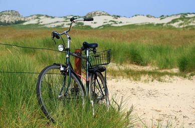 bike-dunes-sand-sand-beach-rest-259775.jpg