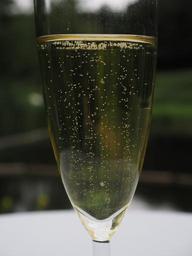 champagne-champagne-glass-drink-590768.jpg