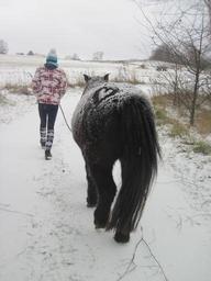 pony-snow-child-winter-snowed-in-921987.jpg
