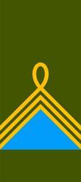 09 УНР 24-04-1919 Сотник.svg