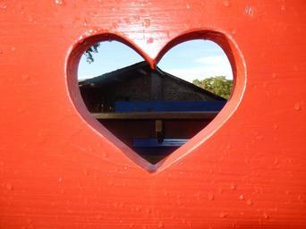 heart-wood-red-detail-950539.jpg