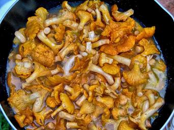 mushrooms-cocks-cooking-eating-1325332.jpg