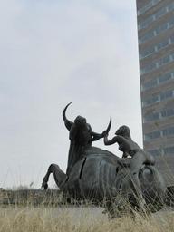 bull-cow-animal-111536.jpg