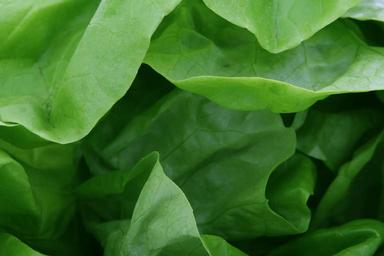 appetite-background-calories-1239156.jpg