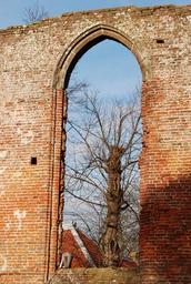 wall-stones-old-window-vista-tree-1442030.jpg