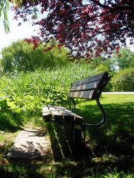 idyll-bank-seat-rest-bench-297896.jpg