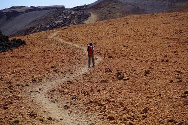 away-path-wanderin-hiking-trace-375851.jpg