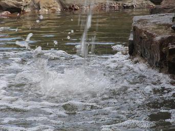 water-splashing-droplets-splash-380014.jpg