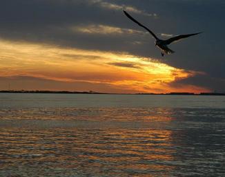 sunset-ocean-sea-sun-nature-1058807.jpg