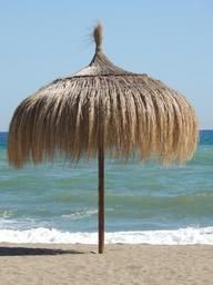 beach-umbrella-sea-nature-273082.jpg