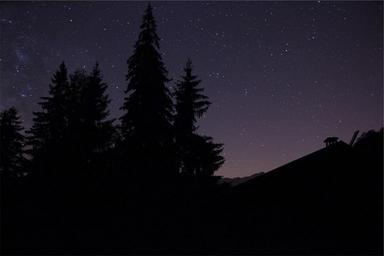 purple-sky-stars-dark-night-trees-691845.jpg
