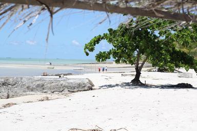 beach-sun-summer-sea-ocean-water-721245.jpg