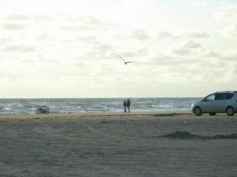baltic-sea-denmark-sea-seagull-106756.jpg