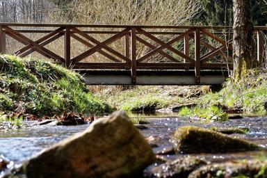 bach-water-forest-black-forest-850223.jpg