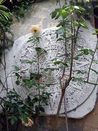maya-stone-relief-symbols-aztecs-132018.jpg