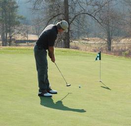 golfer-putting-green-golf-sport-1680875.jpg