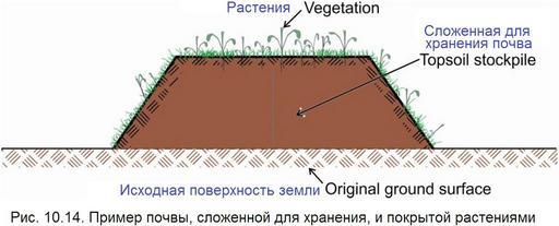 Обеспыливание_2012_Рис._10.14_Хранящаяся_почва,_покрытая_растениями.jpg