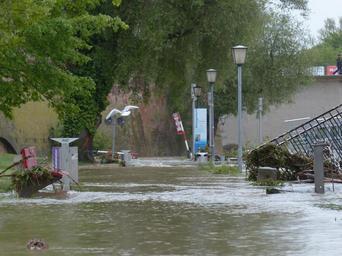 high-water-danube-ulm-disaster-123230.jpg