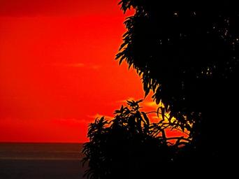 red-yellow-sun-set-st-lucia-964186.jpg